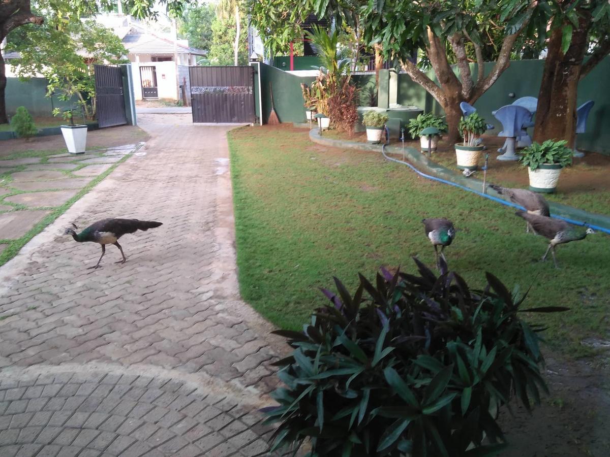 Shaa Lodge Tissamaharama Esterno foto